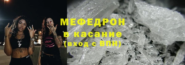 молекула духа Богданович