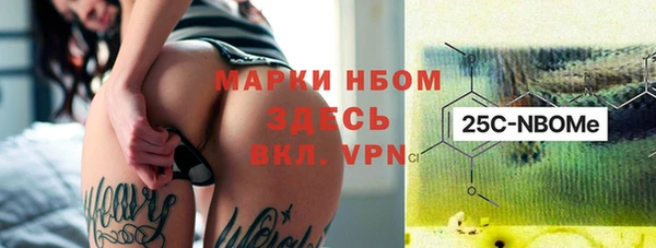 молекула духа Богданович