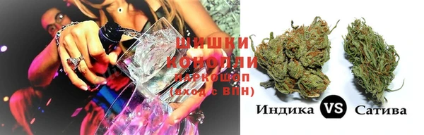 дживик Богородск
