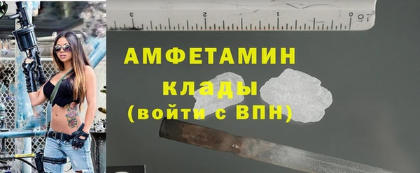 молекула духа Богданович