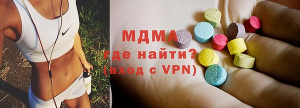 молекула духа Богданович