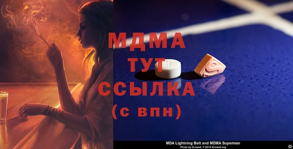 молекула духа Богданович