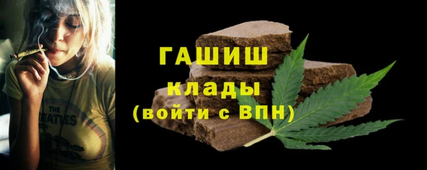 молекула духа Богданович