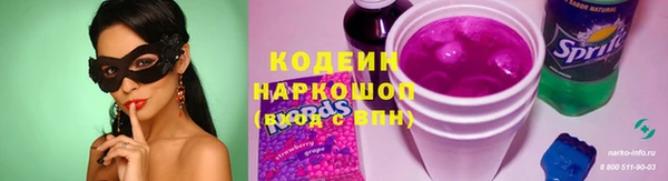 молекула духа Богданович