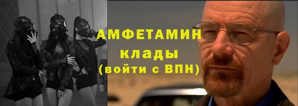 молекула духа Богданович