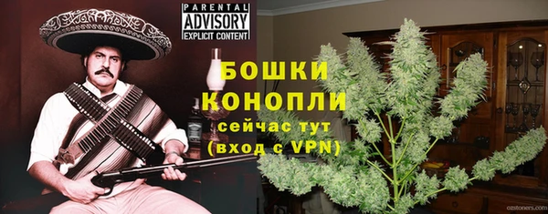 молекула духа Богданович