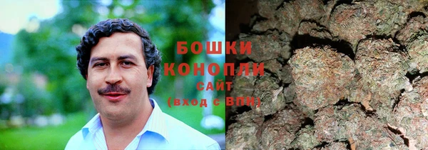 дживик Богородск