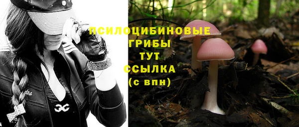 дживик Богородск