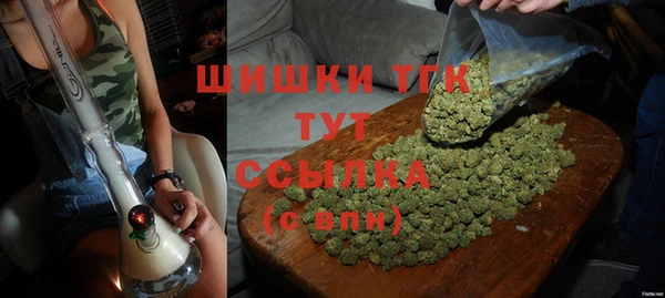 молекула духа Богданович