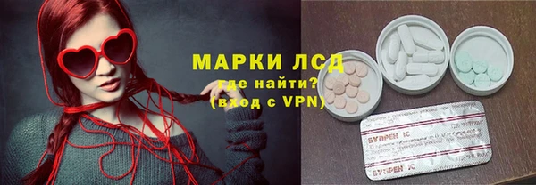дживик Богородск